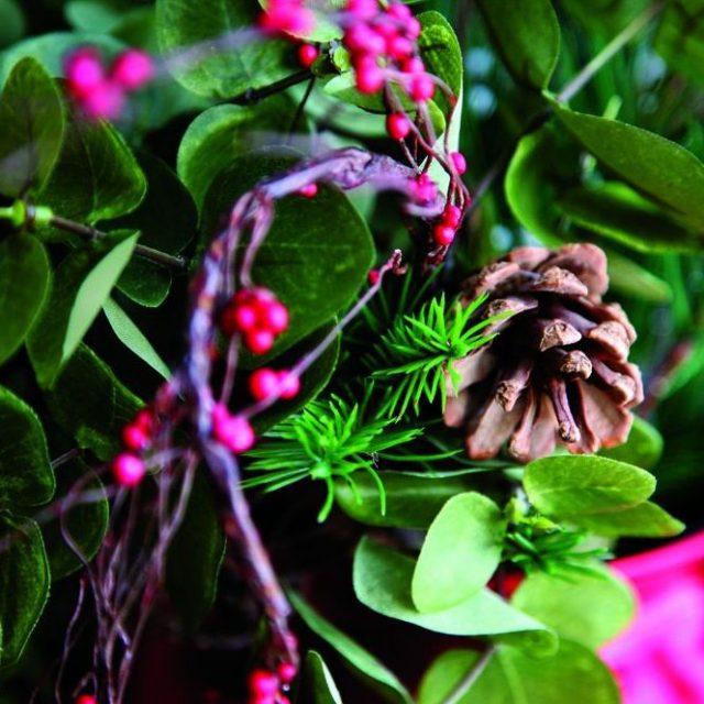 Detail of evergreen Christmas decoration