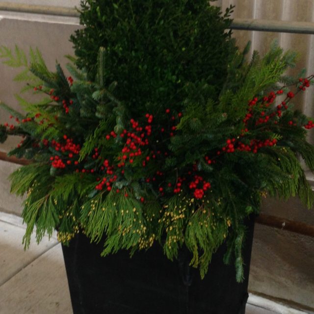 holiday_7144