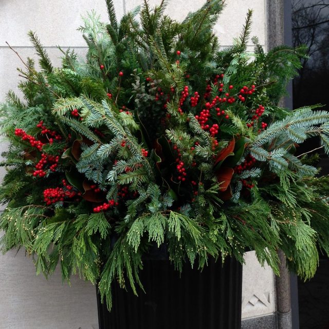 holiday_7665